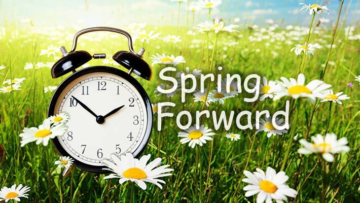 Spring Forward. A clock sits in a field of daisies.