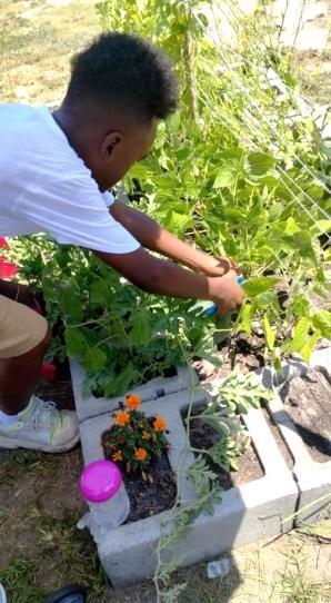 Child working in the garden.