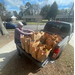 A man loading bags into the back of a truck.