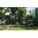 Long view of two carts next to the garden.