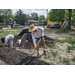 People putting plants in one of the beds.