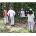 A group of people standing by some trees.