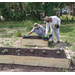 People adding plants to a garden bed.