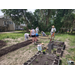 People planting in the community gardens.