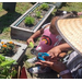 Young girl and a woman working a garden bed with tools. 