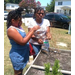 Two women working on a garden area. 