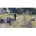 Some people collecting flowers and working in the community garden.