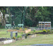 Long view across numerous gardens in the community garden.