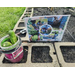 Cucumbers in a cup and a photo collage sitting in a garden.